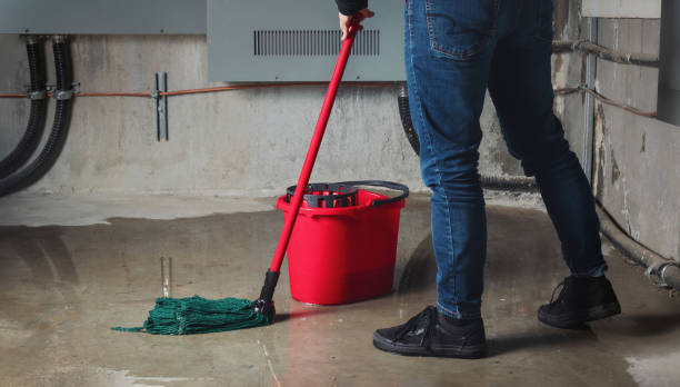 Best Basement water damage restoration  in Osage City, KS