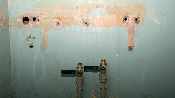 Best Sewage cleanup and water damage restoration  in Osage City, KS